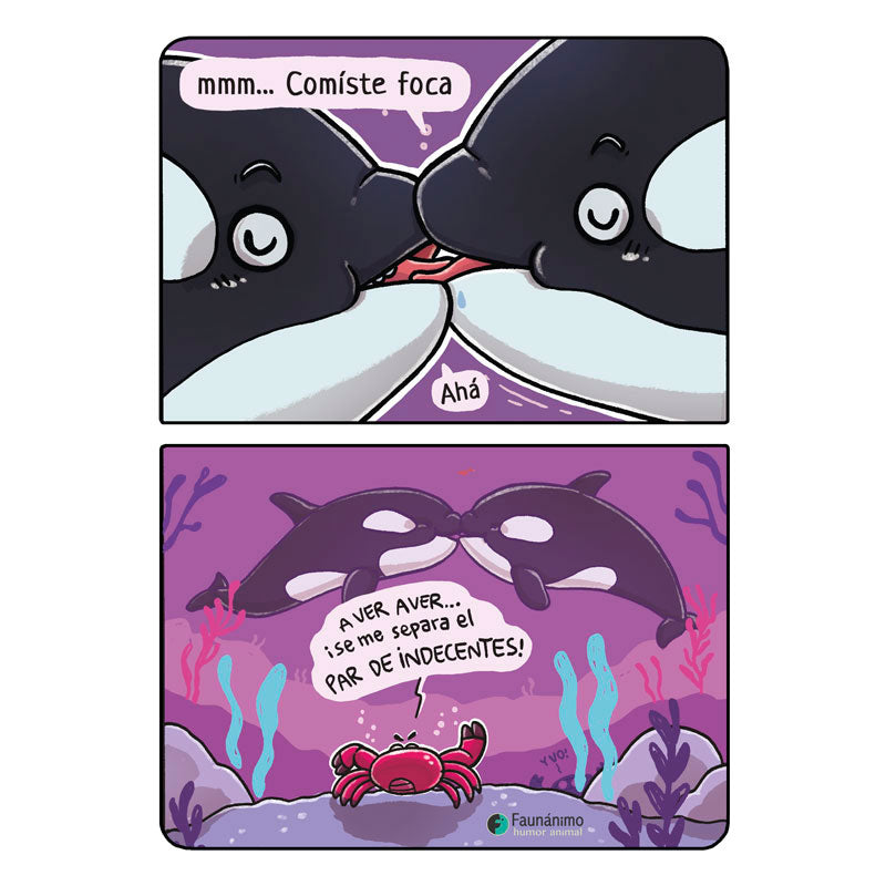 Beso de orcas