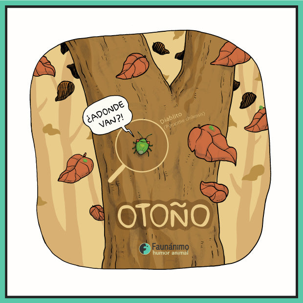 Otoño 23