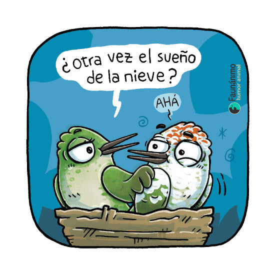 Picaflor blanco
