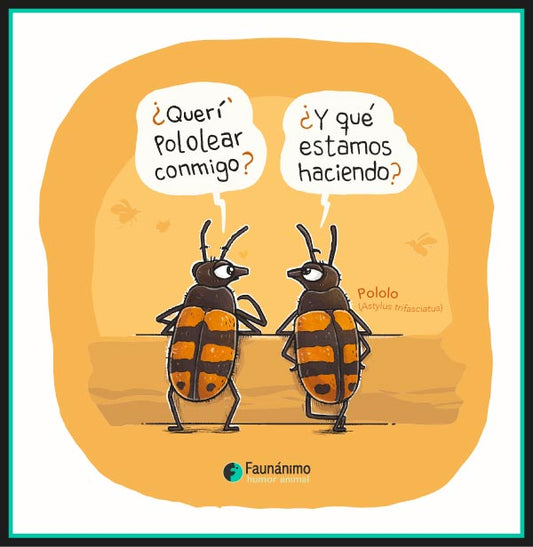 Pololos pololeando