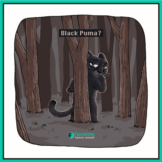 Puma negro