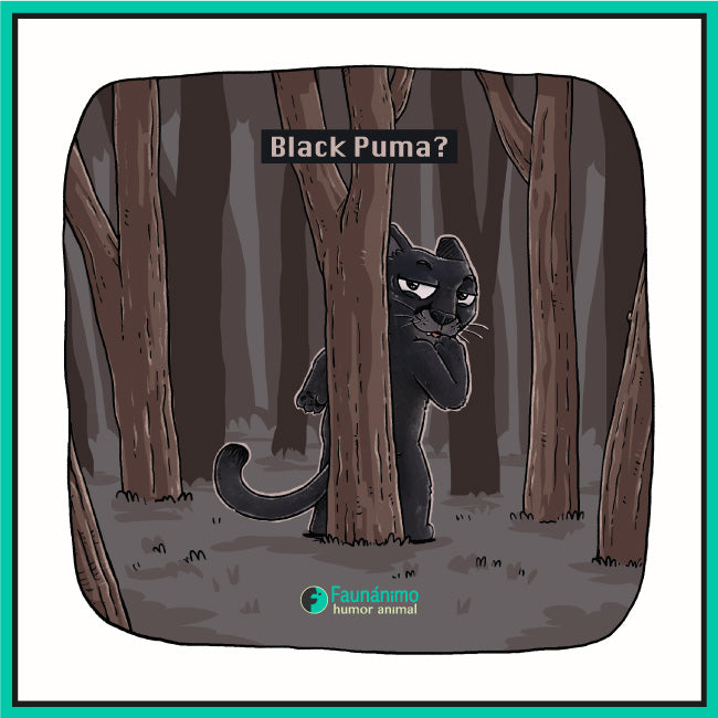 Puma negro