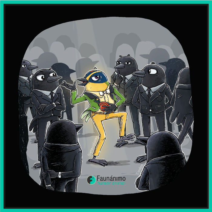 Sietecolores ft Tordos