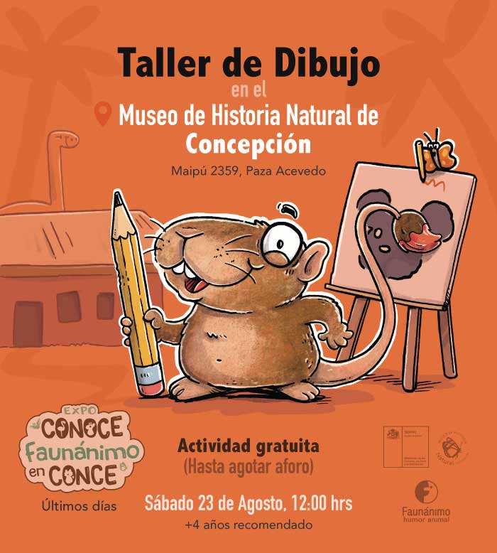 Taller de dibujo ene Conce - 23 Ago