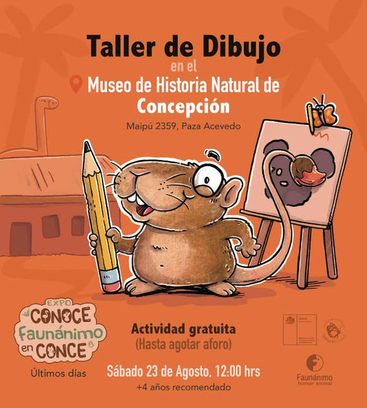 Taller de dibujo ene Conce - 23 Ago