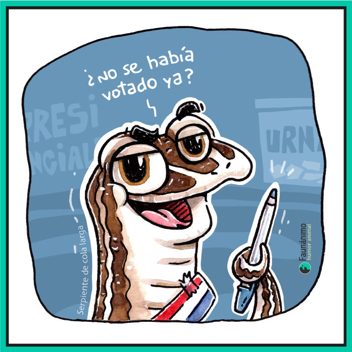 Votaciones presidenciales 2025