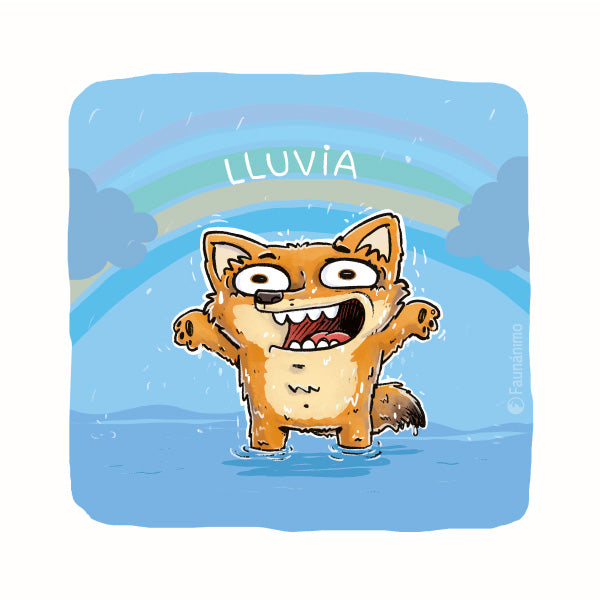 Zorra Lluvia