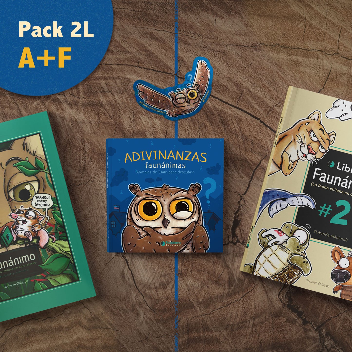 Pack 2 libros A+F