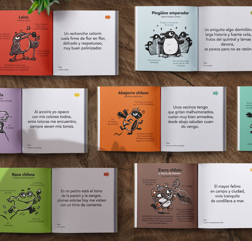 Libro Adivinanzas faunánimas