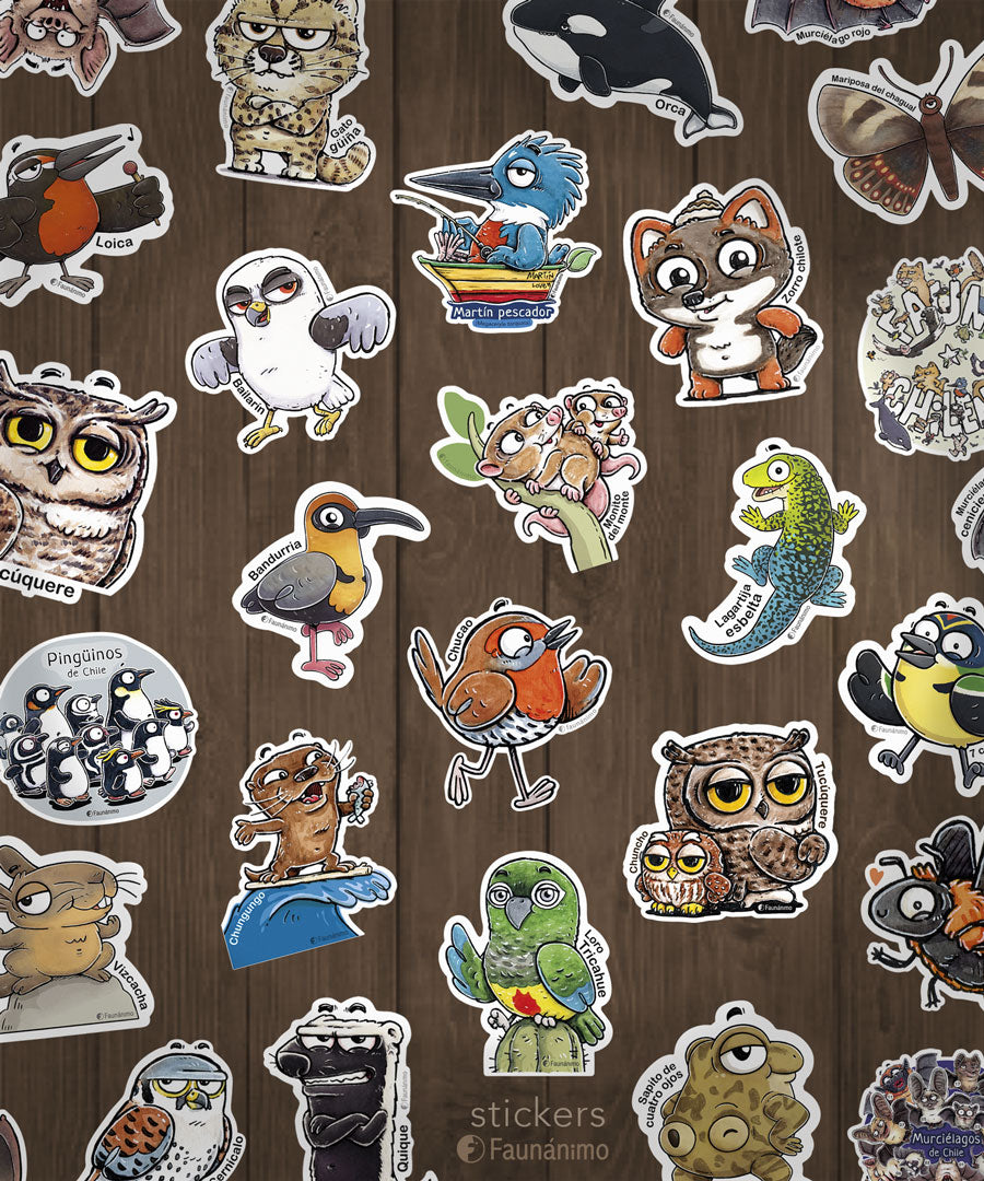 Sticker_tr1 – Armadillos de Chile