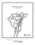 Monito del monte Coloreable | Dibujos para pintar