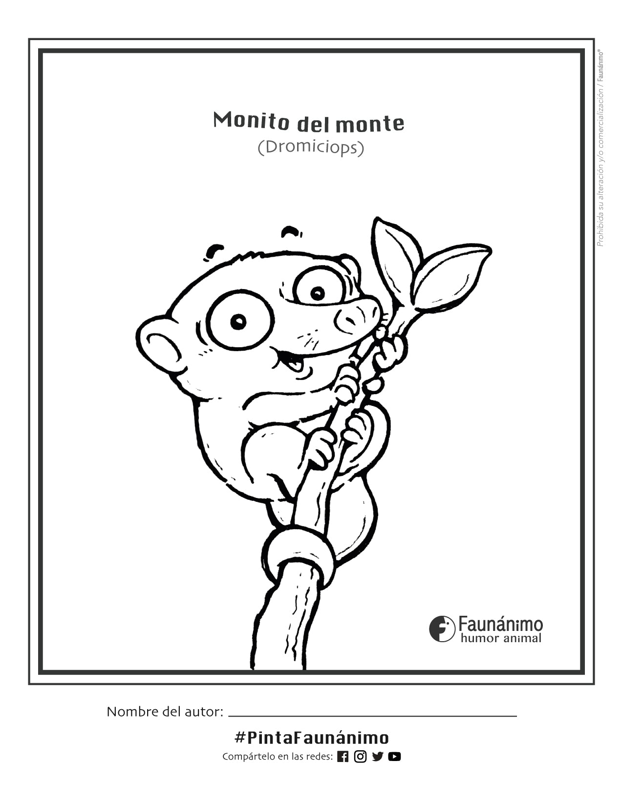 Monito del monte Coloreable | Dibujos para pintar