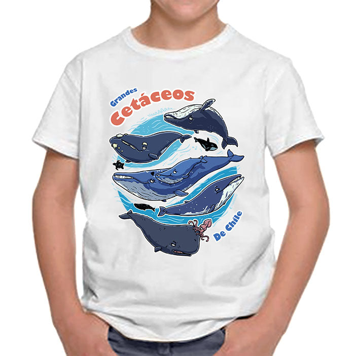 Polera niño – Cetáceos de Chile