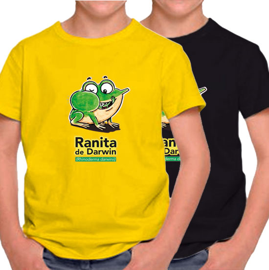 Polera niño – Ranita de Darwin