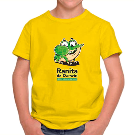 Polera niño – Ranita de Darwin