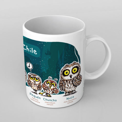 Búhos de Chile | Tazón