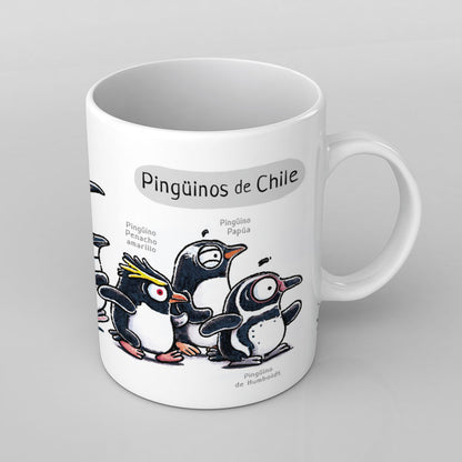 Pingüinos de Chile | Tazón