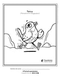 Turca Coloreable | Dibujos para pintar