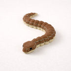 Figura 3D - Culebra cola larga