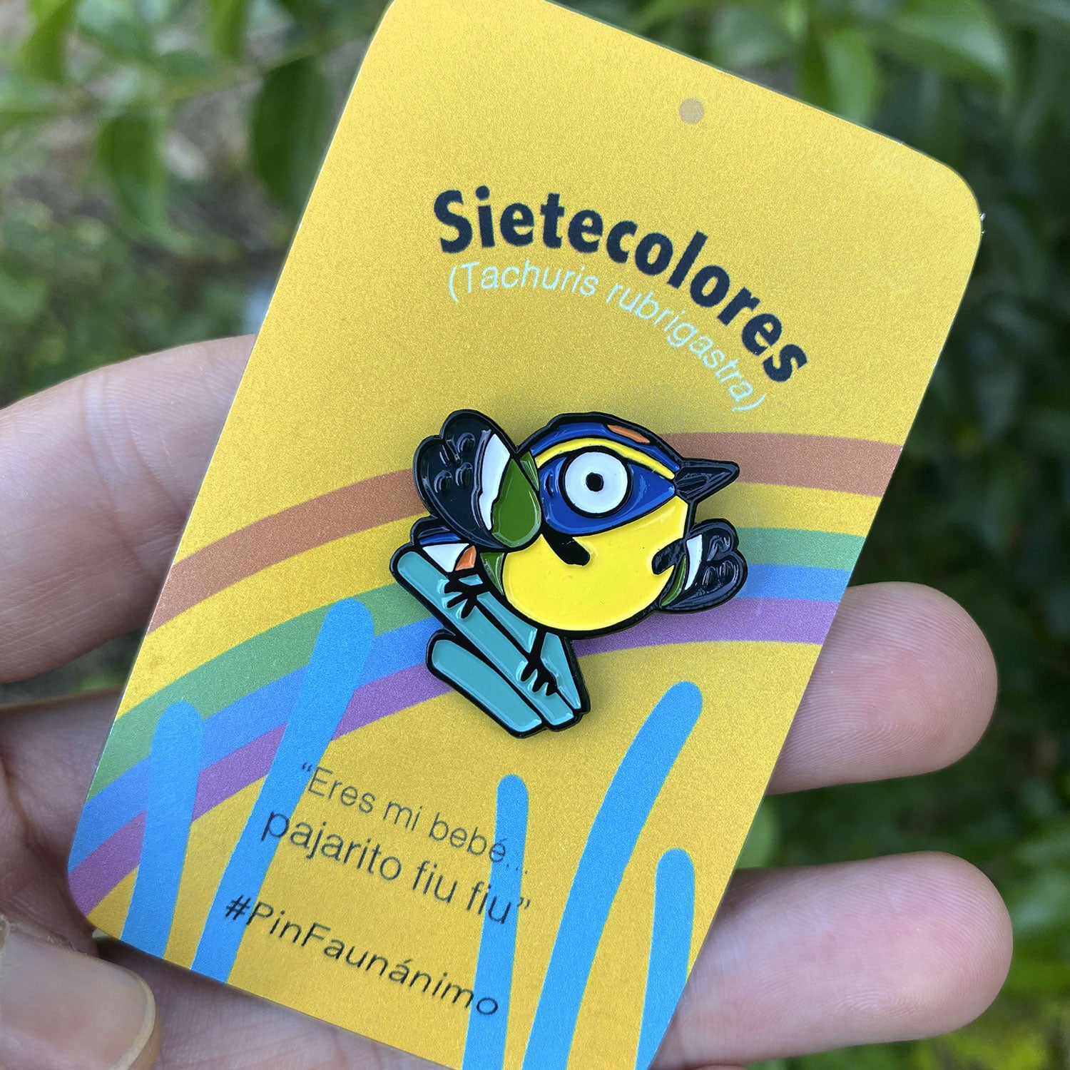 Pin – Sietecolores
