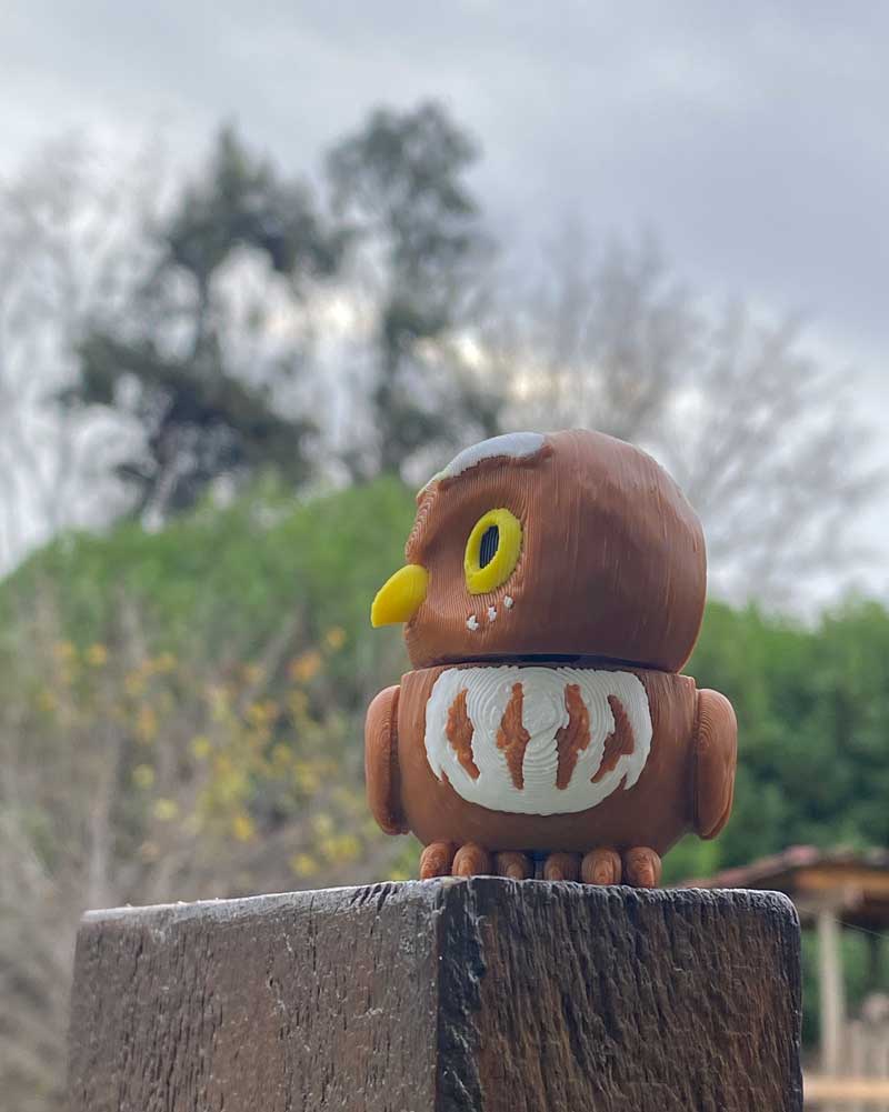 Figura 3D - Chuncho