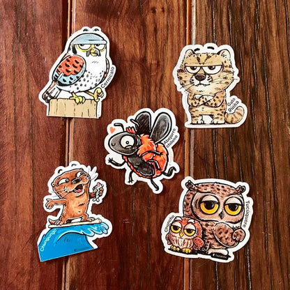 Set de 5 stickers-trq – A