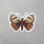 Imán trq – Mariposa del chagual