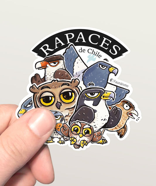 Sticker_tr1 – Rapaces de Chile